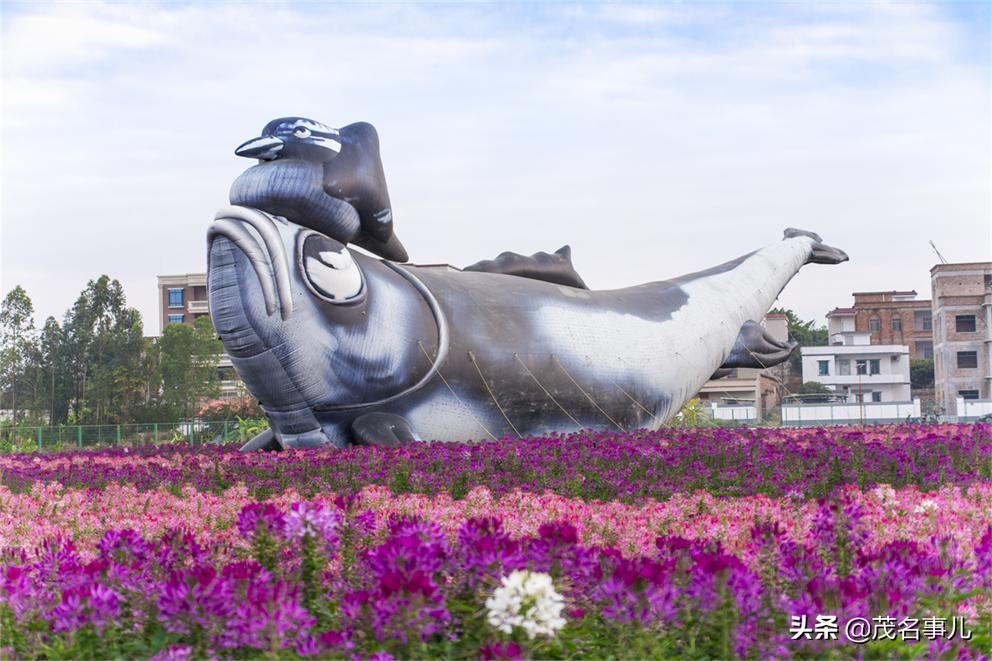 茂名十大美丽乡村电白,茂名电白乡村风光