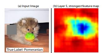 python卷积神经网络看什么书,怎么用python搭建卷积神经网络