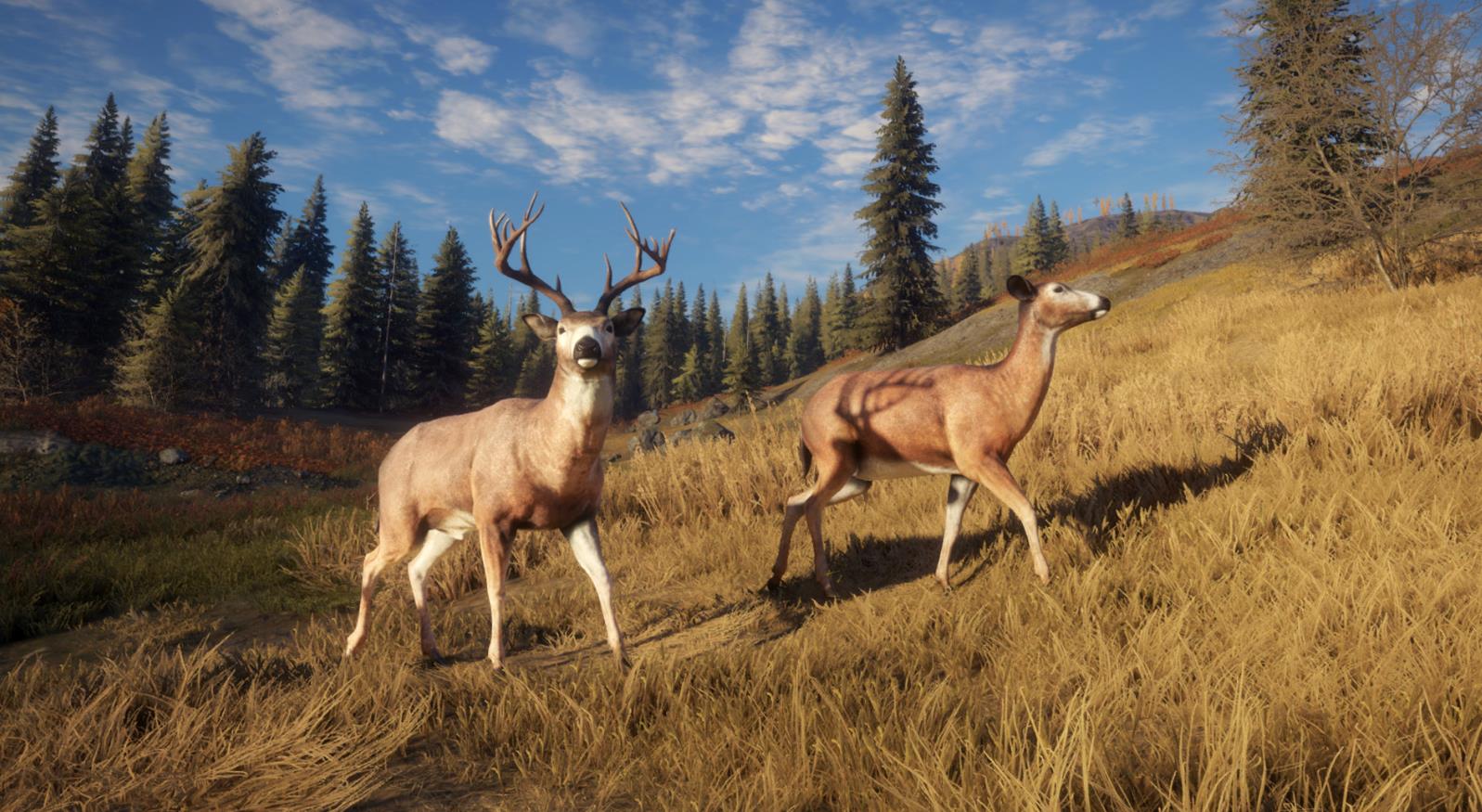 超级养老休闲的狩猎游戏，让你体验真实的打猎氛围