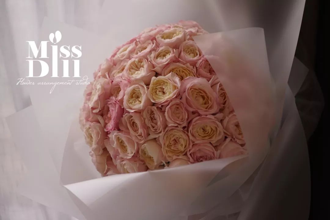 热销玫瑰,顶级进口玫瑰