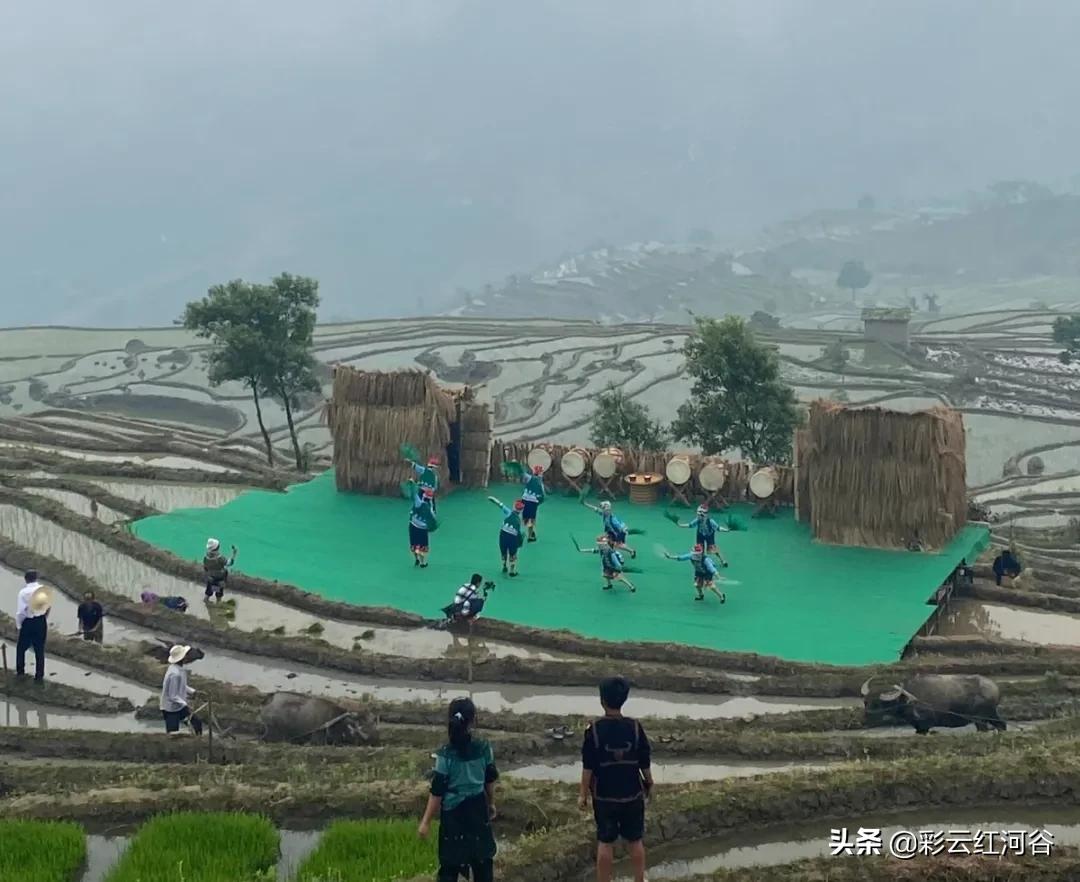 文旅搭台电商唱戏，“开秧门”助推梯田农产品走俏市场