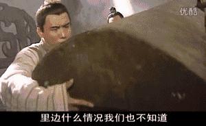 少年包青天第二部双胞胎案子,少年包青天抄袭了哪些案子