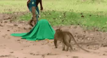 为什么加油站要24小时上班,为什么加油站一个工资1800