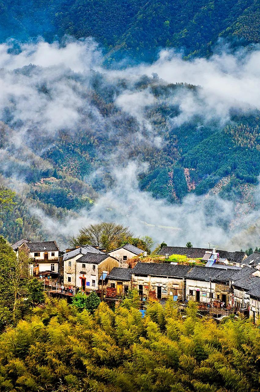 安徽春天美丽的视频,安徽美丽的春天