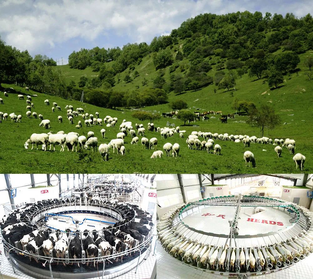 乳制品食品检测项目,乳制品的感官评价