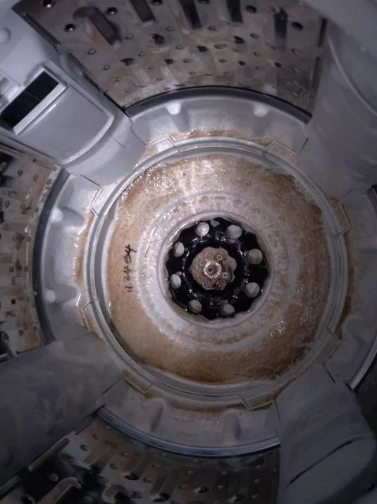 洗衣机上霉菌怎么处理,洗衣机长霉