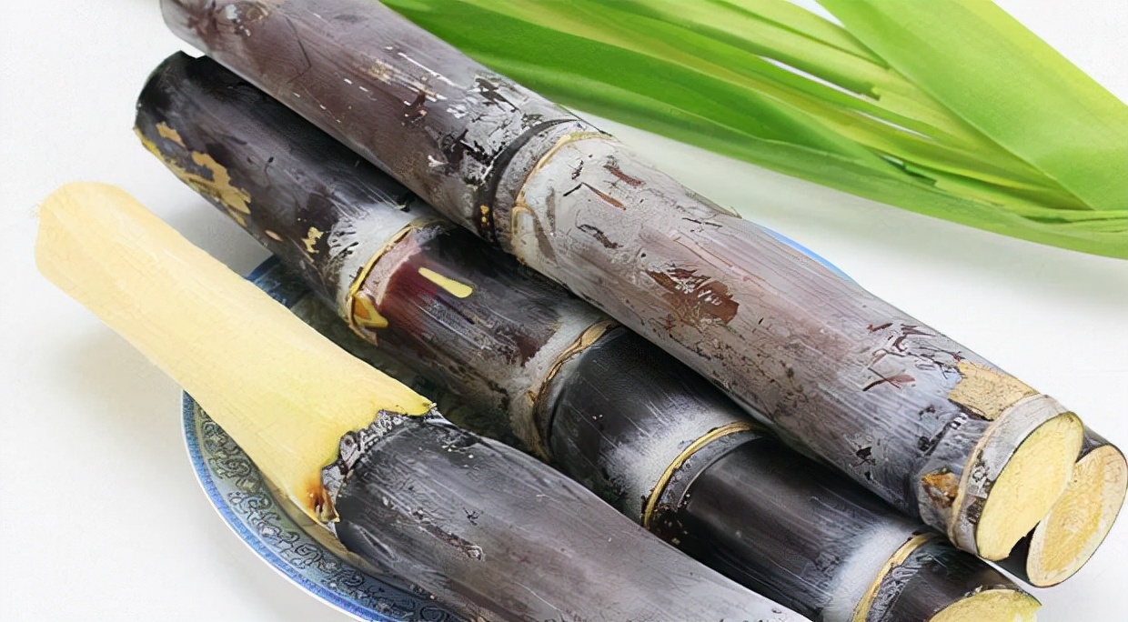 甘蔗末端出现红色丝状,是流血了吗?还是有毒的?