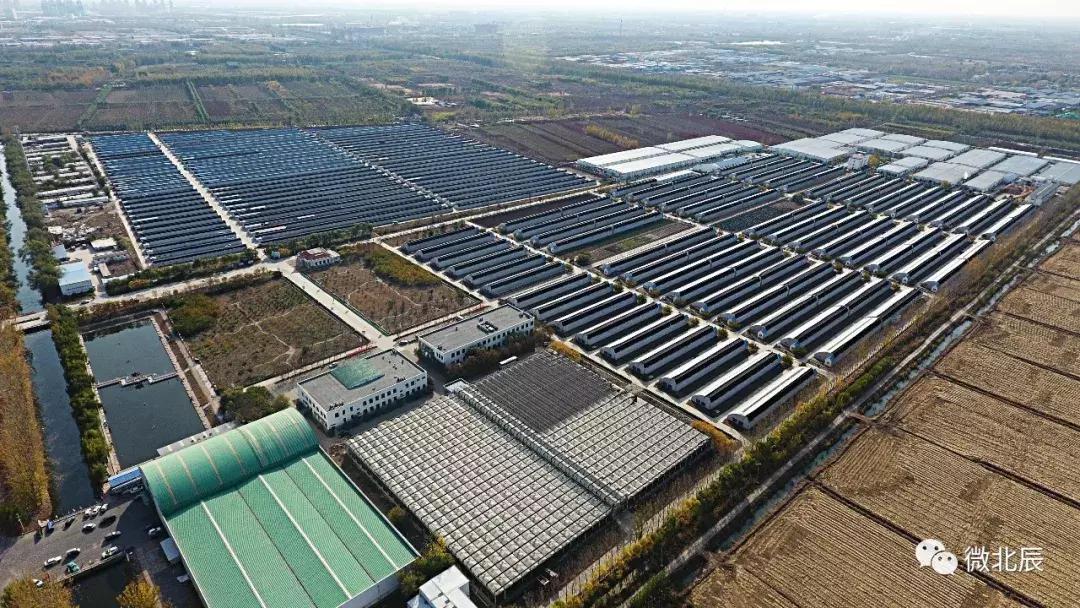 亿元村河南,亿元村信息