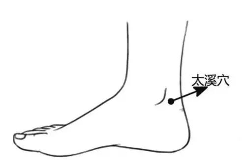 养生必先养气的好处,养生必先养哪里