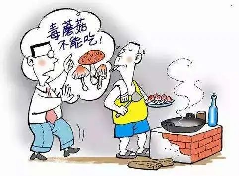 今年毒菇中毒事件,疫情期间毒蘑菇中毒