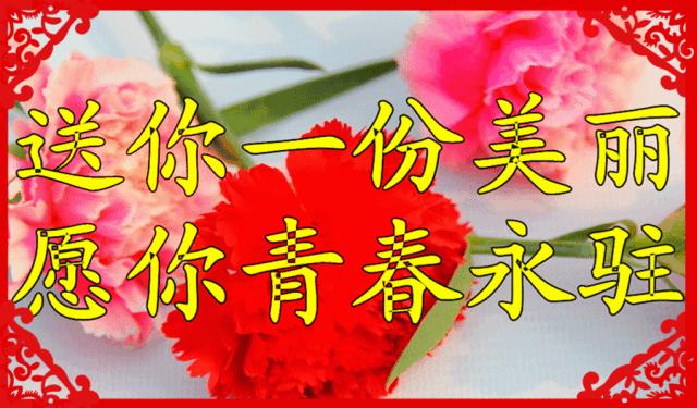 南飞雁古筝原唱,南飞雁答友人