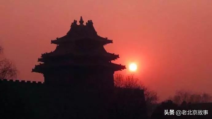 故宫成了动物园,故宫北京动物园