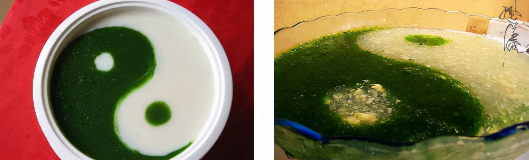 金华打卡美食甜品,金华美食打卡人间至味