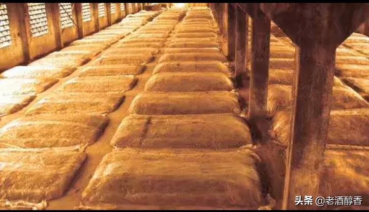 五粮液梦之蓝6和国窖1573哪个好喝,五粮液国窖1573梦之蓝m9口感对比