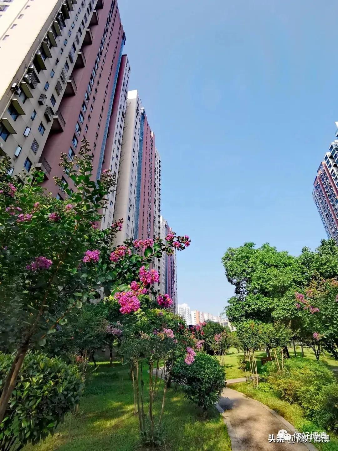 合肥博澳丽苑,合肥博澳丽苑为什么便宜