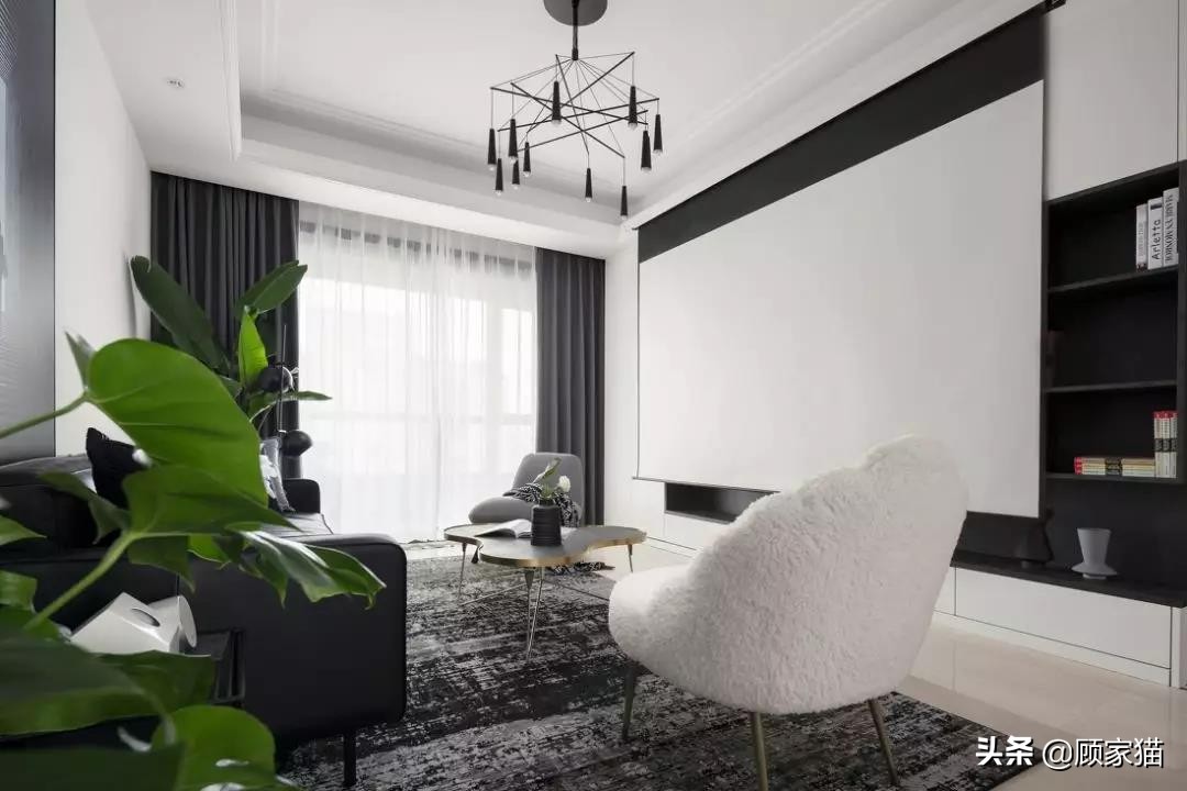 顾家装修公司排行榜,顾家猫