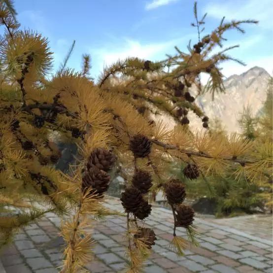 原创生活旅行,原创旅行作品