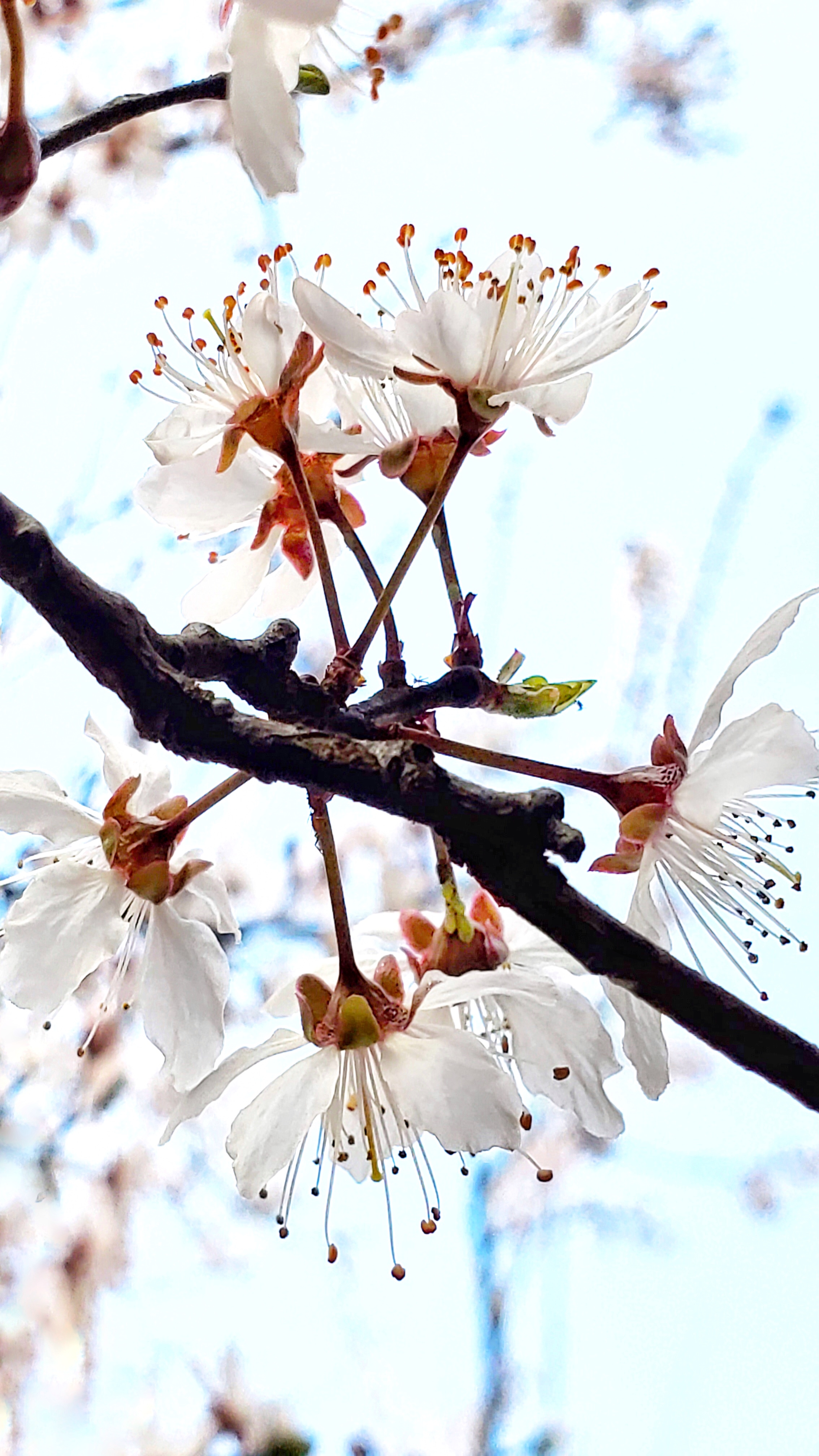 和春住。带着小神兽去踏青