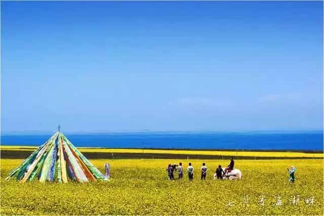 带您探索神秘大西北,一湖倒影一湖诗,半湖金色半湖