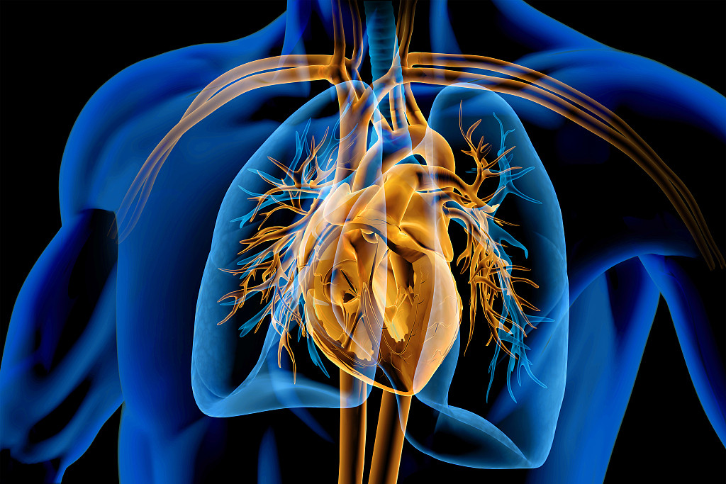 云南博亚医院案件,云南博亚医院康复