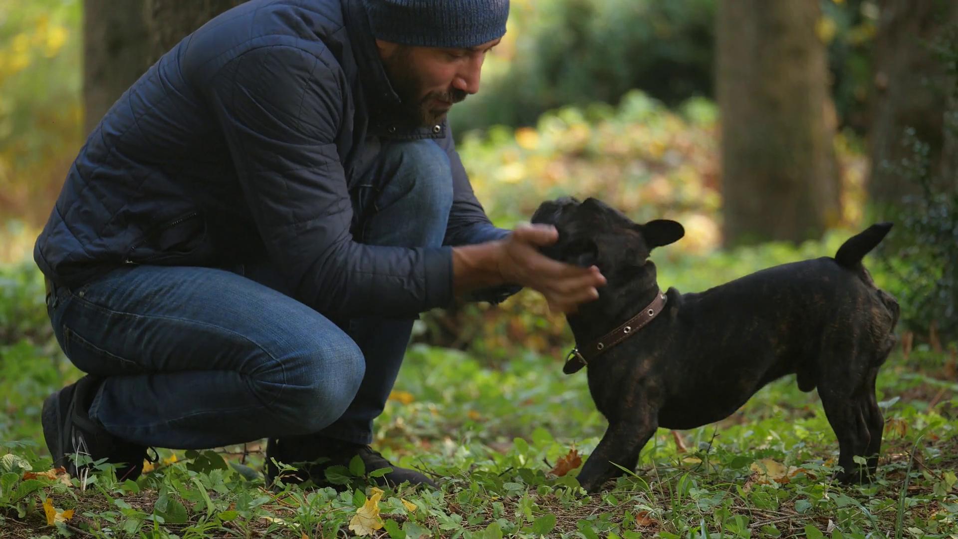 抚摸狗狗真的可以降血压吗,用手摸了狗以后吃东西会不会生病