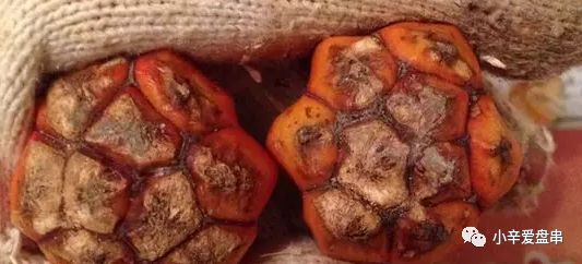 莲花和滴血莲花的区别,滴血莲花和莲花菩提区别