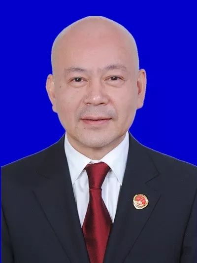 一家平淡无奇的宠物店,一家宠物店里的动物