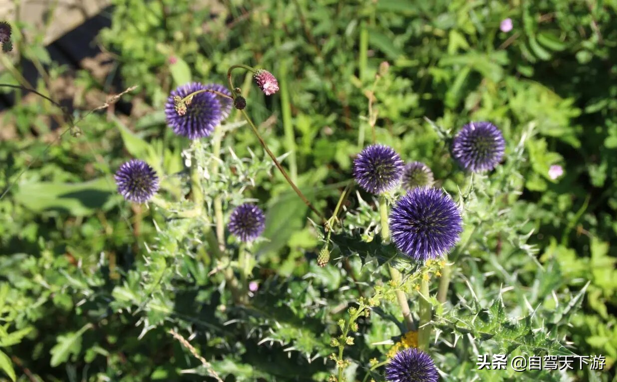 河北保定野三坡最值得去的景点,野三坡风景区有哪些著名景点