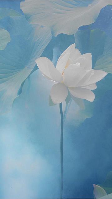 我们的少年时代,我们的中年人歌曲