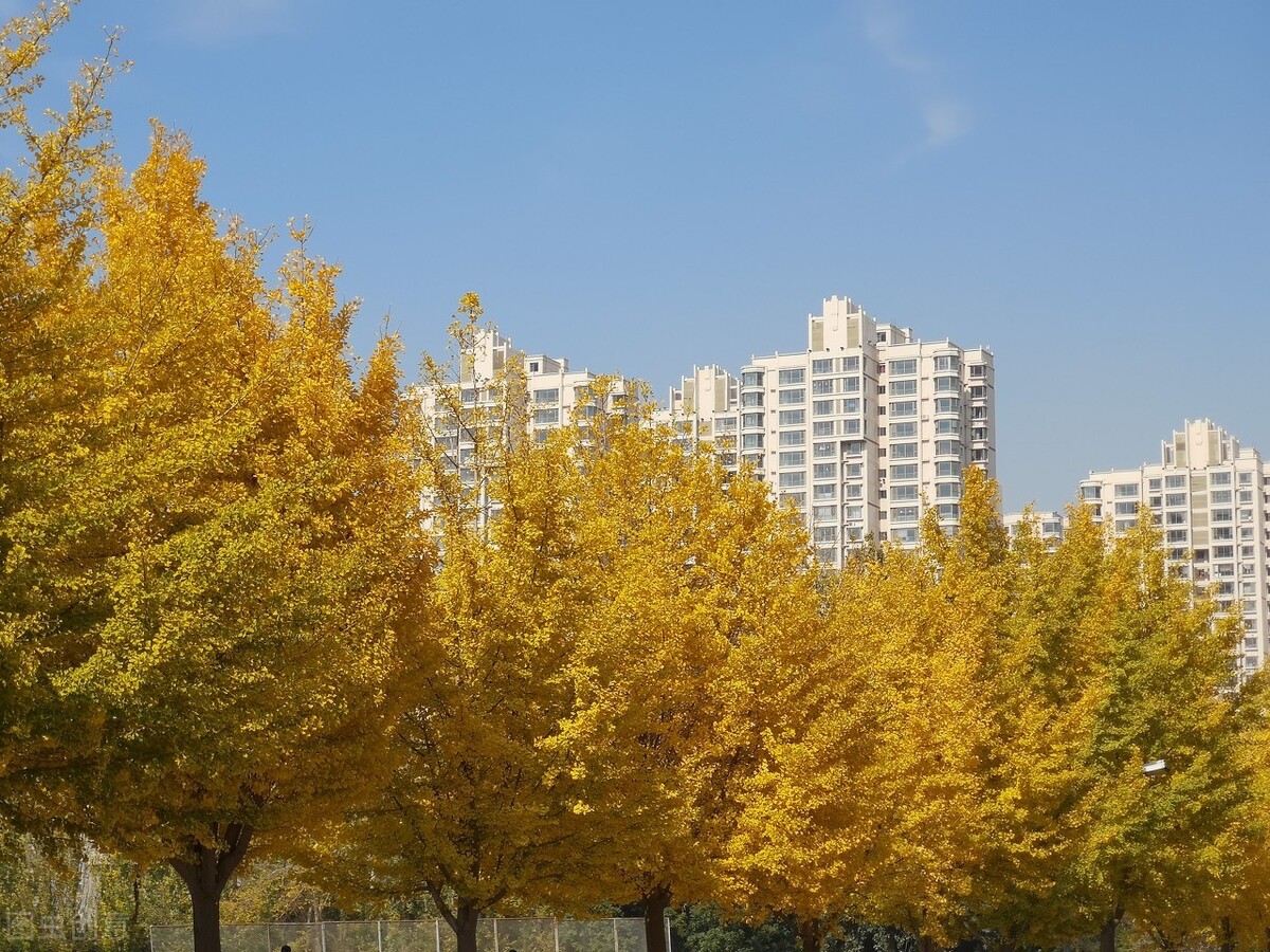 2019各二本院校录取分数线及位次,2020年二本投档线理科院校