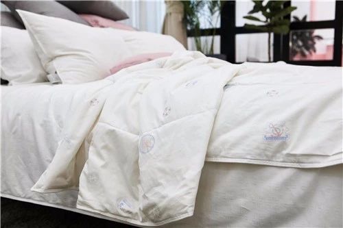 血渍在床单上怎么去除,大姨妈流在床单上的血渍怎么去除