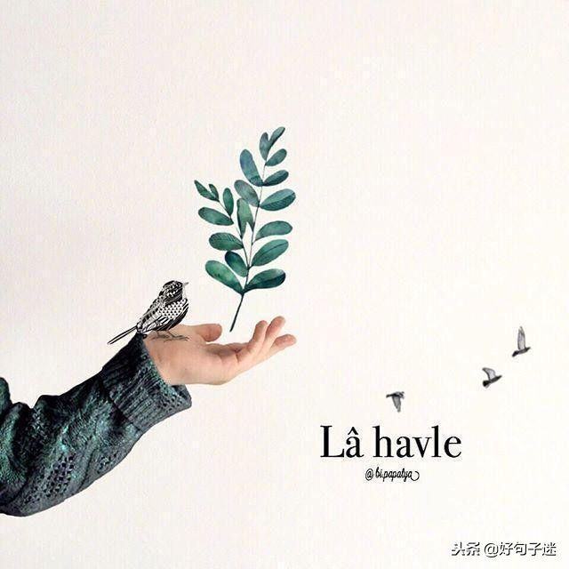 短小精悍的优美句子10-15字,精辟短小的句子