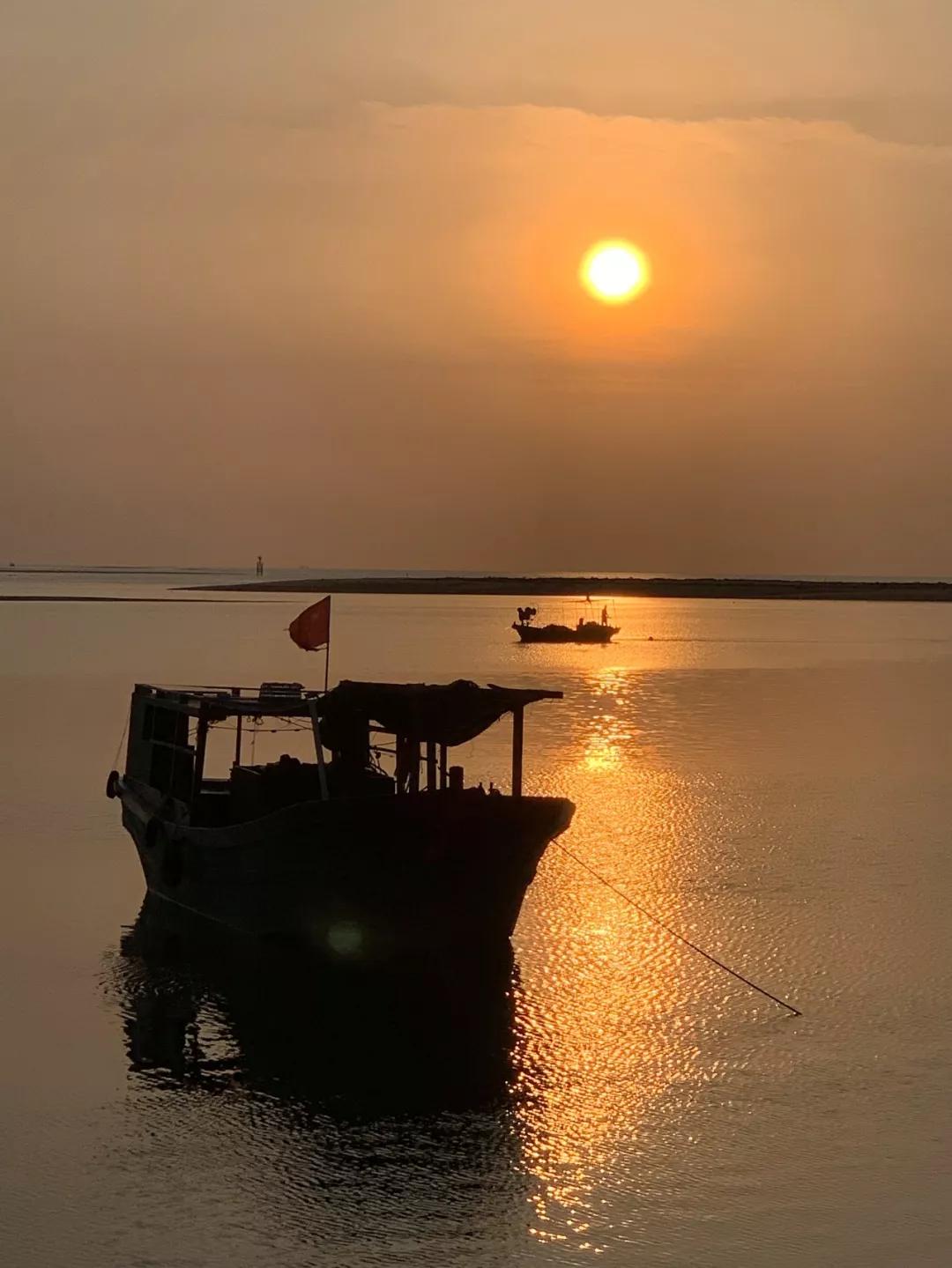 昌江原生态热带雨林森林秘境,海南万宁一个被大自然宠爱的地方