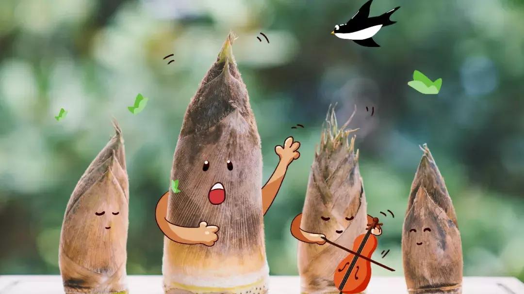 春季菜王是哪种应季菜,春季菜谱家常菜高血压