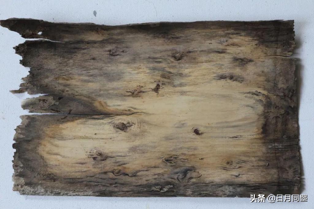 往事丨1992年，他们在武汉策划了一次消毒艺术运动