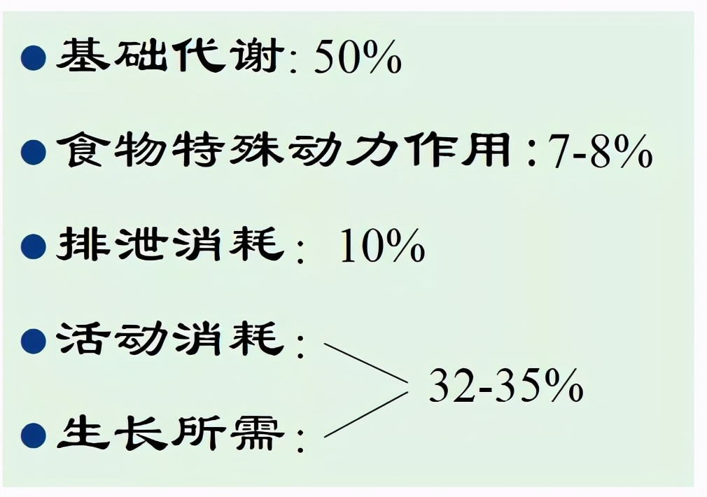 儿童早餐一览表,高蛋白早餐儿童