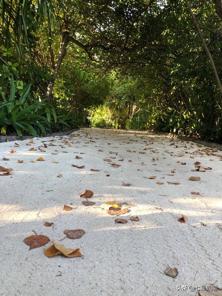 马尔代夫一家人旅行攻略,马尔代夫旅游一家四口跟团