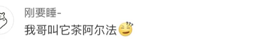 口误闹出的植物种子的笑话,因为自己的口误而闹出的笑话