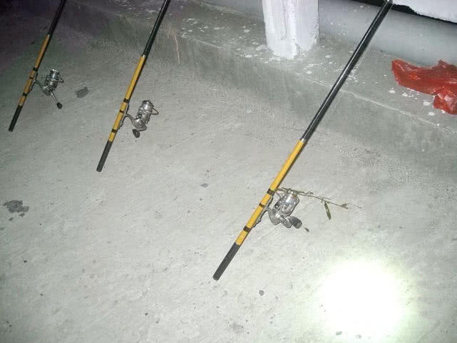 春季钓黄颡选位最佳时间,钓黄颡的最佳时间