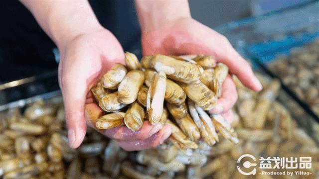 青岛人气最旺的老店,青岛市区十大必吃饭店