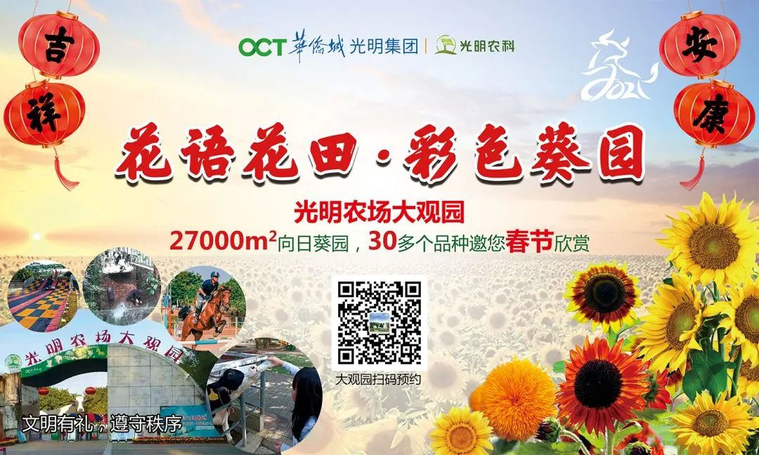 此心安处是吾乡21预告,此心安处是吾乡全季