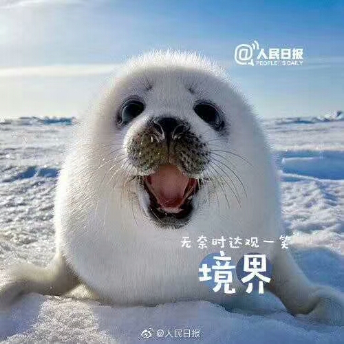 戴延红,简快戴延红直播课