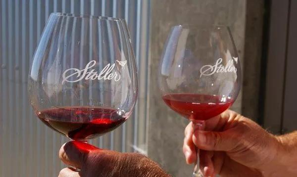 法国干红葡萄酒酿造过程,葡萄酒酿造过程