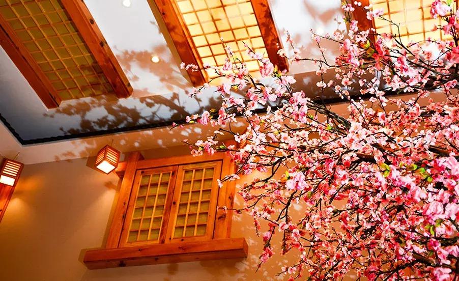 “桃花源”马杀鸡，等了15年终于来成都啦！