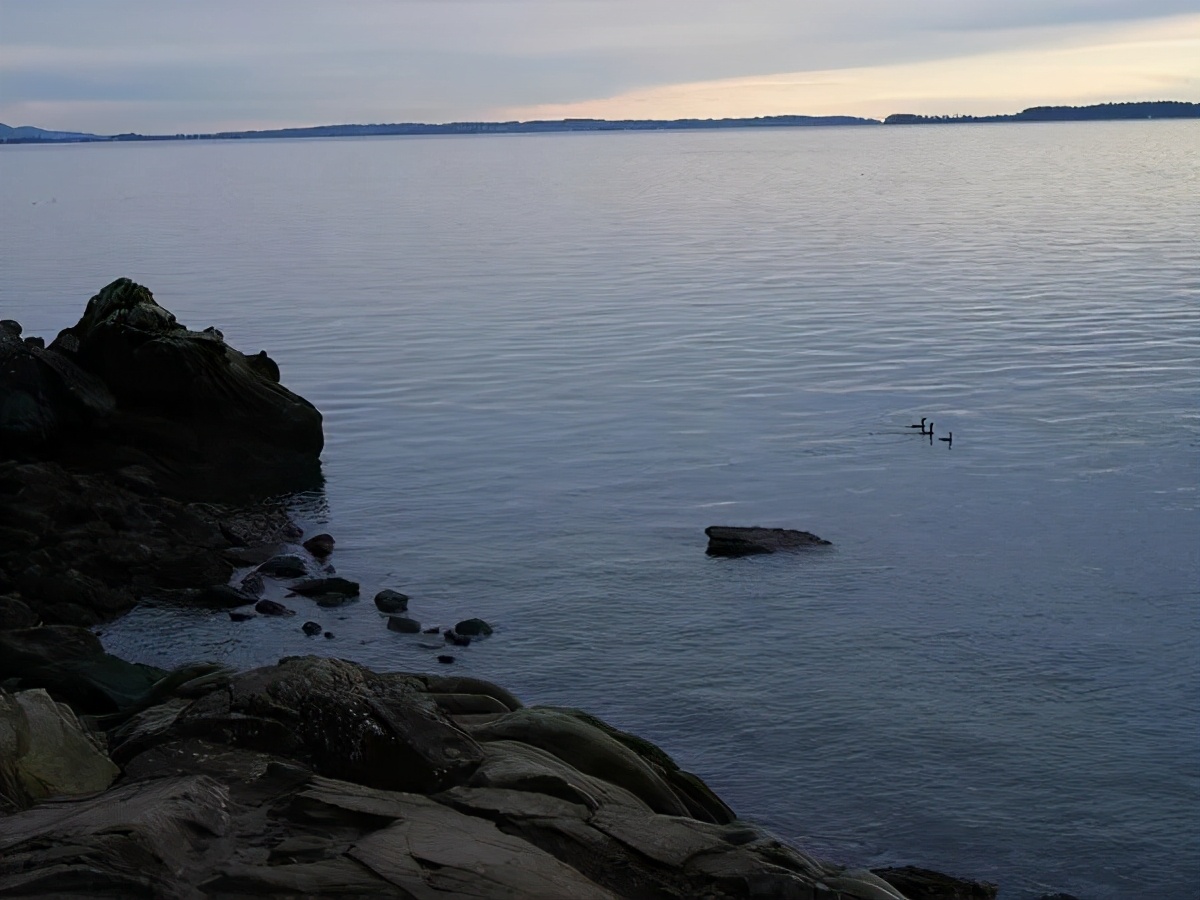 富士中画幅相机gfx100s有什么优点,富士中画幅相机gfx100s