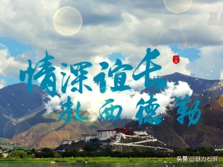 情深谊长扎西德勒,重磅微视频扎西德勒