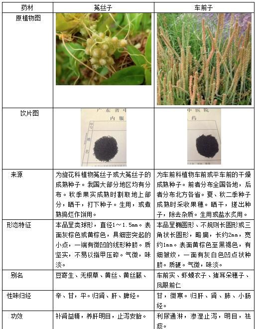 清热利湿的车前子,很容易和这味中药混淆!