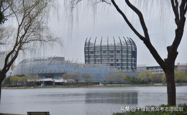 上海对外经贸大学介绍,上海对外经贸大学最新消息