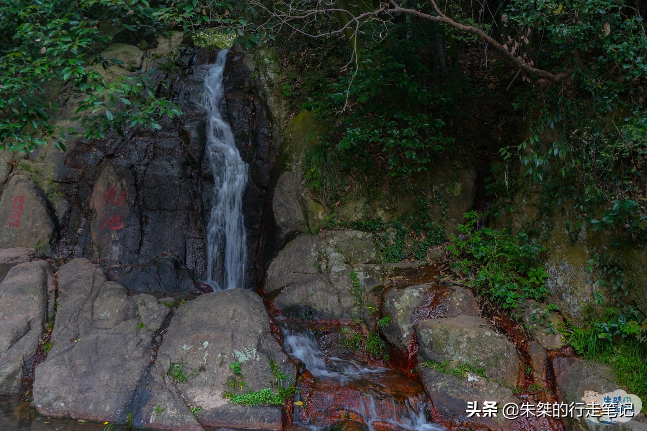 莫干山避暑旅游景点推荐,春光无限好赏花正当时