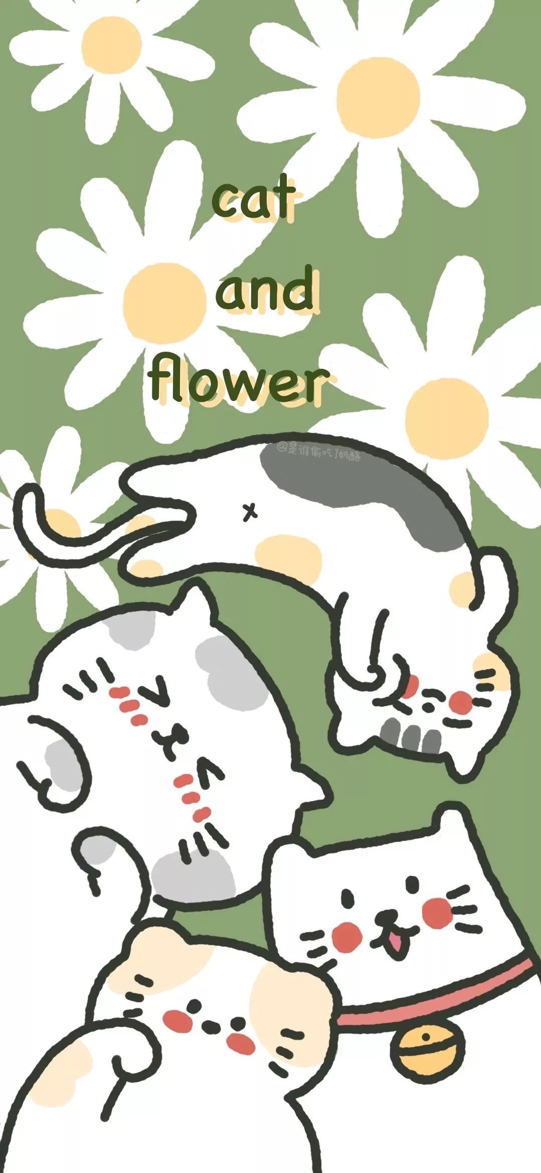 周杰伦图片高清壁纸,一组巨好看高清全面屏壁纸